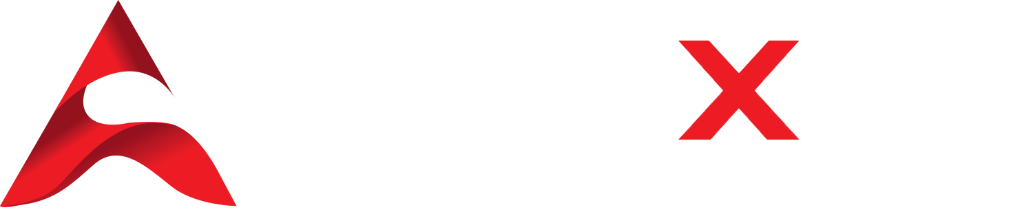 Anexim logo